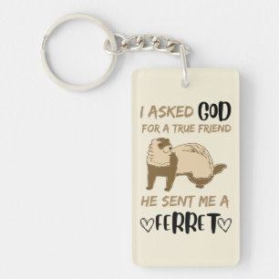 Ferret Friend Adorable Funny Animaux de compagnie