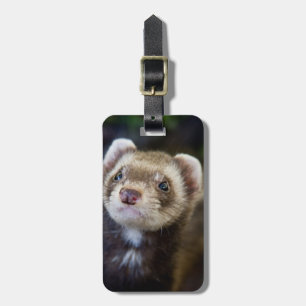 Ferret Gepäckanhänger