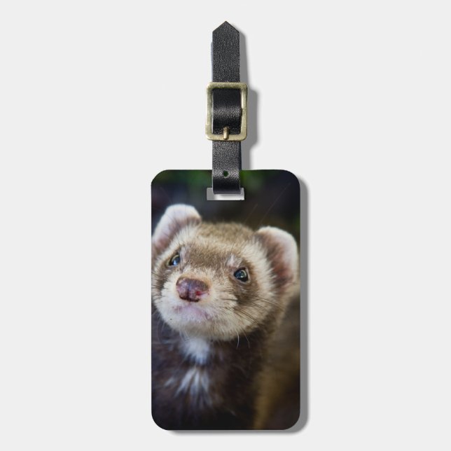 Ferret Gepäckanhänger (Vorderseite vertikal)