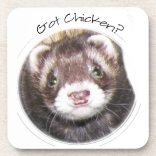 Ferret Gesicht Bild Got Hühnchen? Untersetzer
