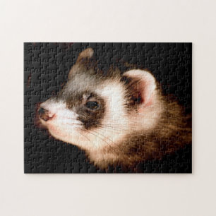 Ferret Head Close up, Jigsaw Puzzle