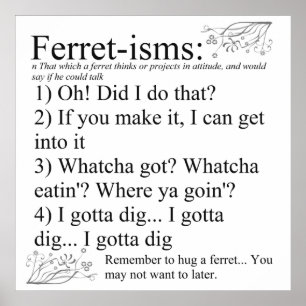 Ferret-isms & Sayings Print for Ferret Lovers Poster