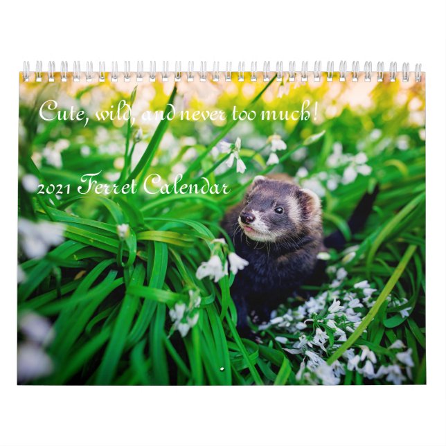 Ferret-Kalender 2021 Kalender (Titelbild)