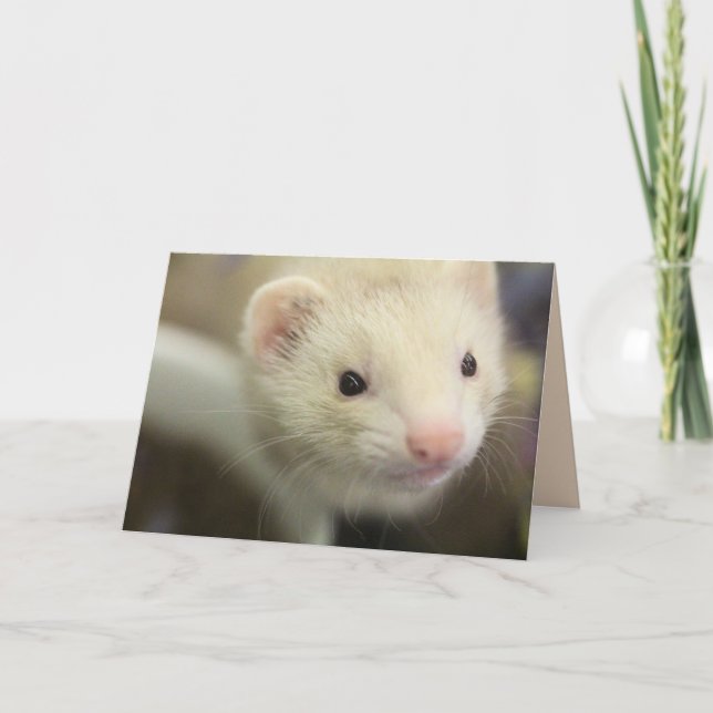 Ferret Karte (Vorderseite)