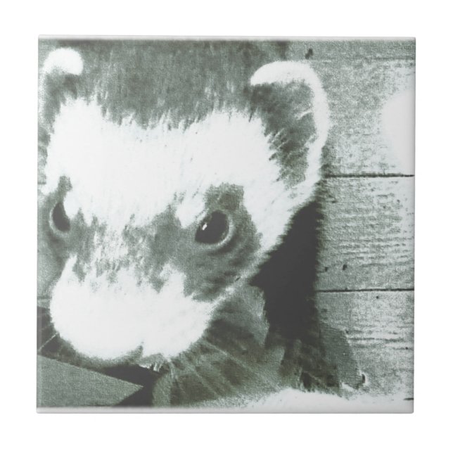 Ferret Niedlich Picture Fliese (Vorderseite)