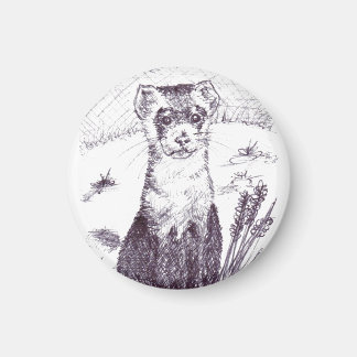 Ferret pied noir - Aimant