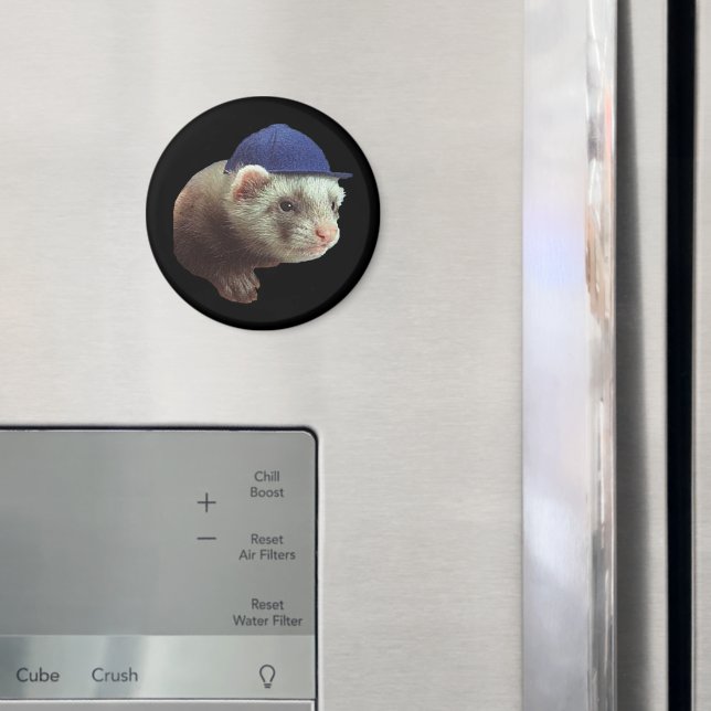 Ferret portant un aimant Casquette (In situ (réfrigérateur))