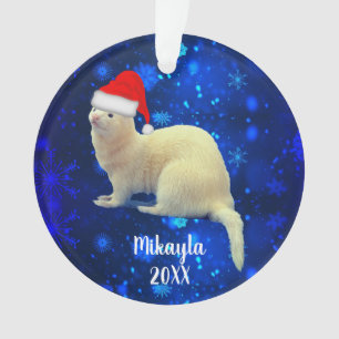 Ferret pour animaux de compagnie blanc à Santa Hat