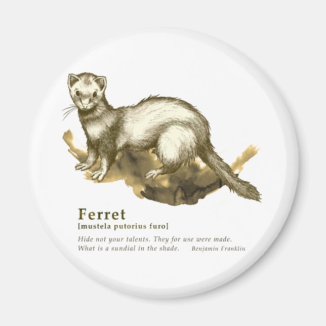 Ferret - sepia magnet (Vorne)