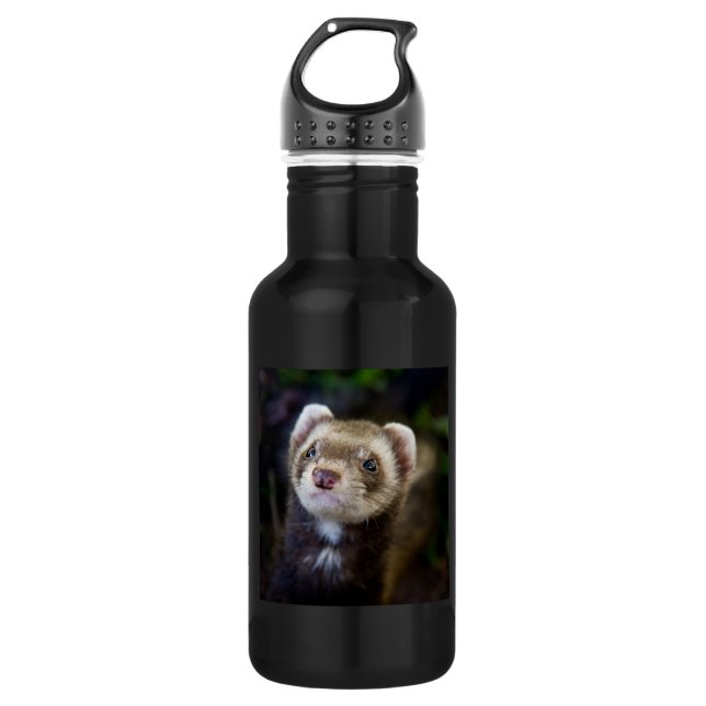 Ferret Trinkflasche (Vorderseite)