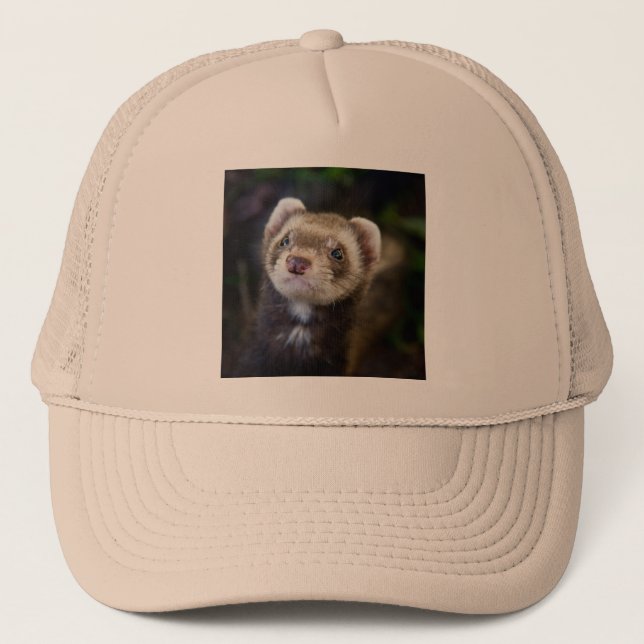 Ferret Truckerkappe (Vorderseite)