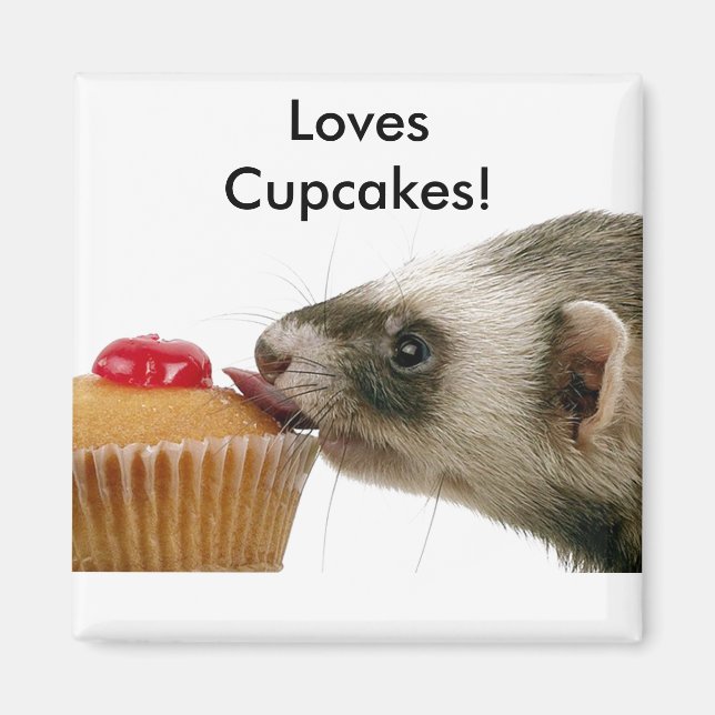 Ferrets Liebe Cupcakes Magnet (Vorne)