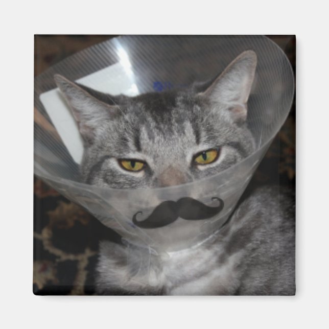 Ferris mewler Magnet (Vorne)
