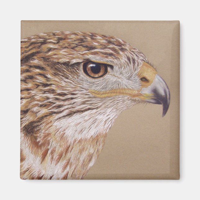 Ferruginous Hawk Magnet (Vorne)