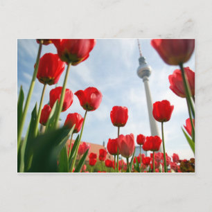 Fersehturm Fernsehturm Berlin Deutschland Postkarte