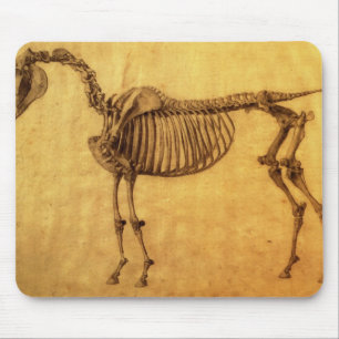 Fertige Studie Georges Stubbs für das erste Mousepad