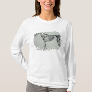 Fertige Studie Georges Stubbs für das fünfte T-Shirt