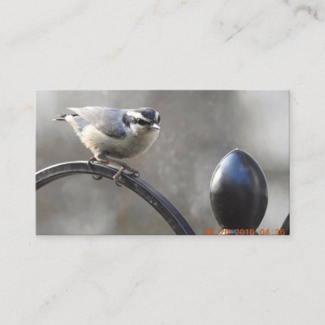 Fertigen Sie Ihre eigenen Visitenkarten Visitenkarte (Vorderseite)