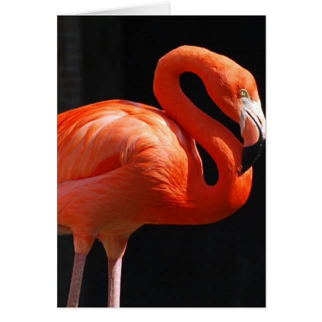 Fertigen Sie Produkt besonders an (Vorne)