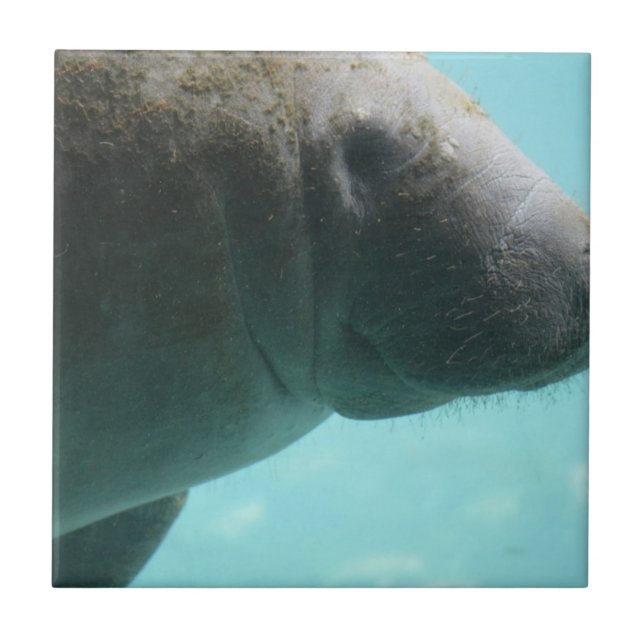 Fertigen Sie Produkt besonders an Fliese (Vorderseite)