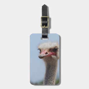 Fertigen Sie Produkt besonders an Gepäckanhänger