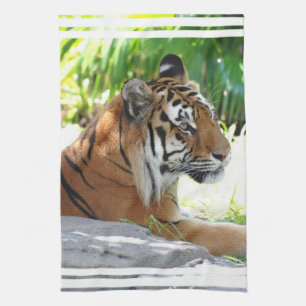 Fertigen Sie Produkt besonders an Geschirrtuch