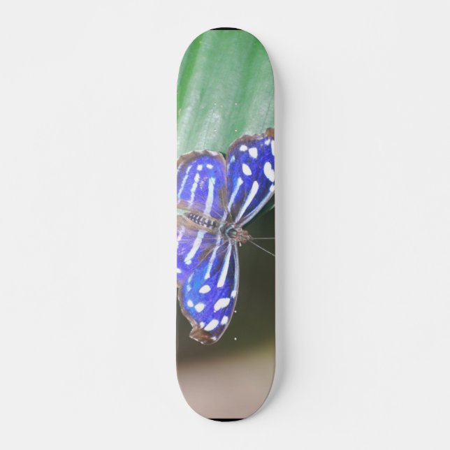 Fertigen Sie Produkt besonders an Skateboard (Vorne)