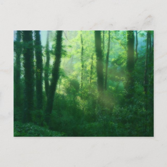 Fertilitätskarte Postkarte (Vorderseite)