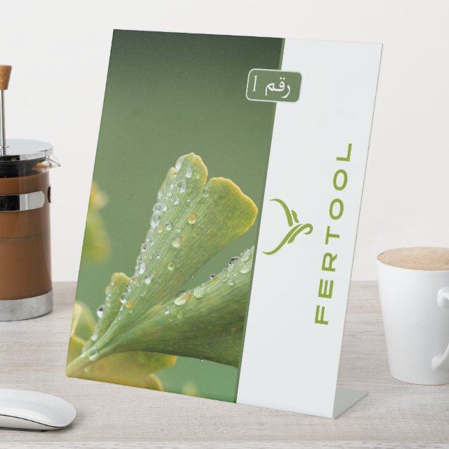 FERTOOL SOCKELSCHILD (In Situ)