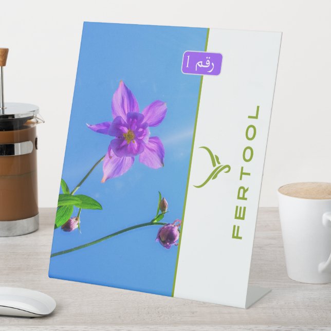 FERTOOL SOCKELSCHILD (In Situ)