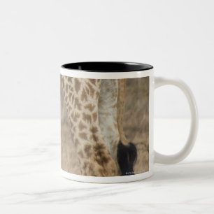 Feste Ernte von zwei Giraffen (Giraffa Zweifarbige Tasse