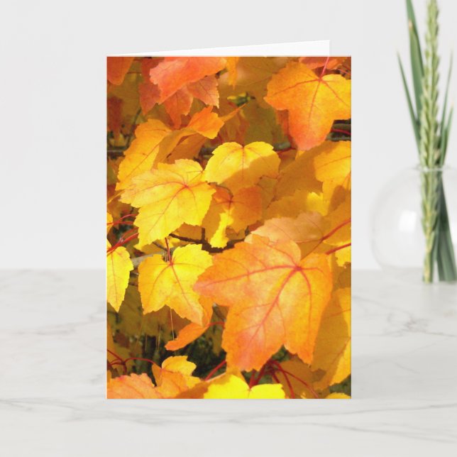 Feste Herbstfarben Feiertagskarte (Vorderseite)