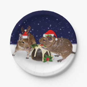 festes Degus-Papierplatte Pappteller