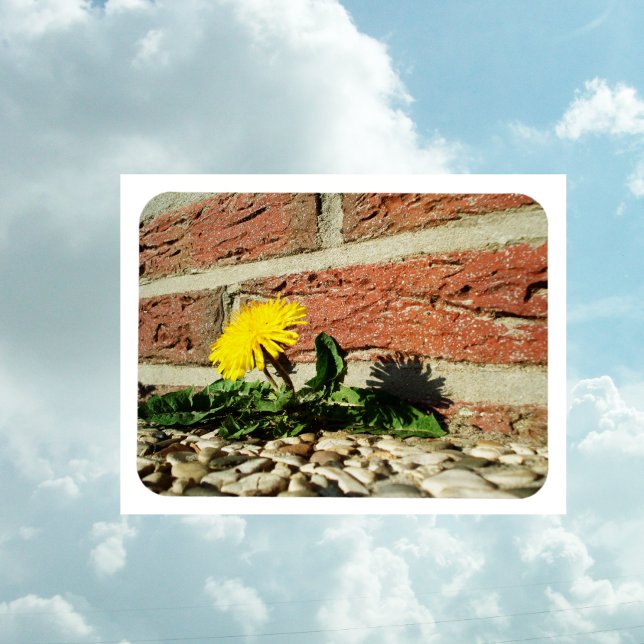 Festgestelltes Löwenmagnet Magnet (Von Creator hochgeladen)