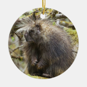 Festgestelltes Porcupine Keramik Ornament