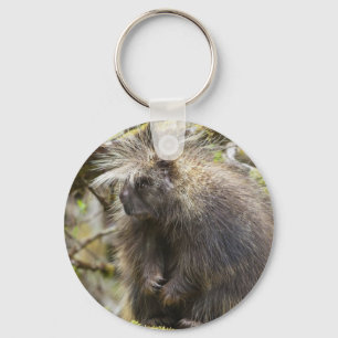 Festgestelltes Porcupine Schlüsselanhänger