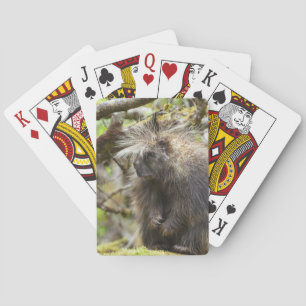 Festgestelltes Porcupine Spielkarten
