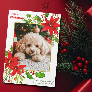Festif Chien Photo Rouge Noël Poinsettia Magnet