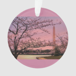 Festival Cherry Blossom du Monument de Washington