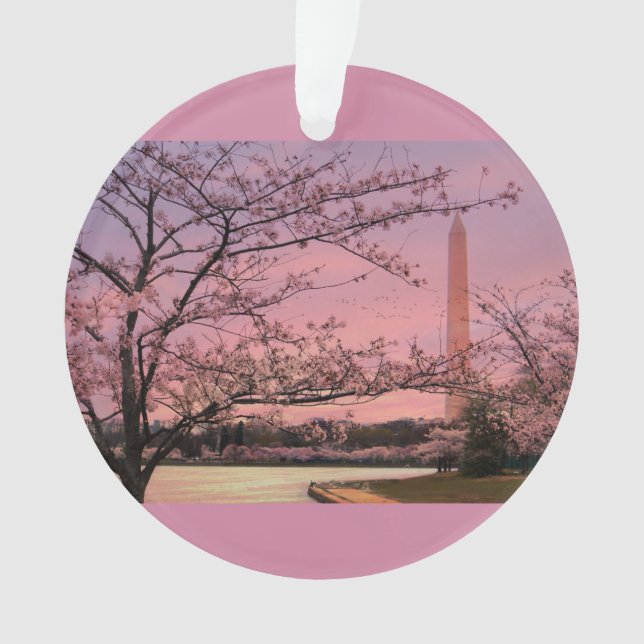 Festival Cherry Blossom du Monument de Washington (devant)