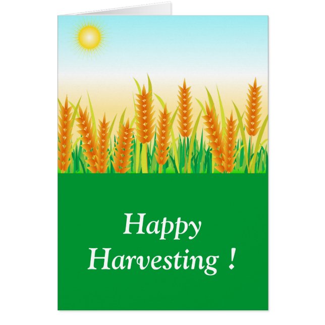 Festival de récolte (Devant)