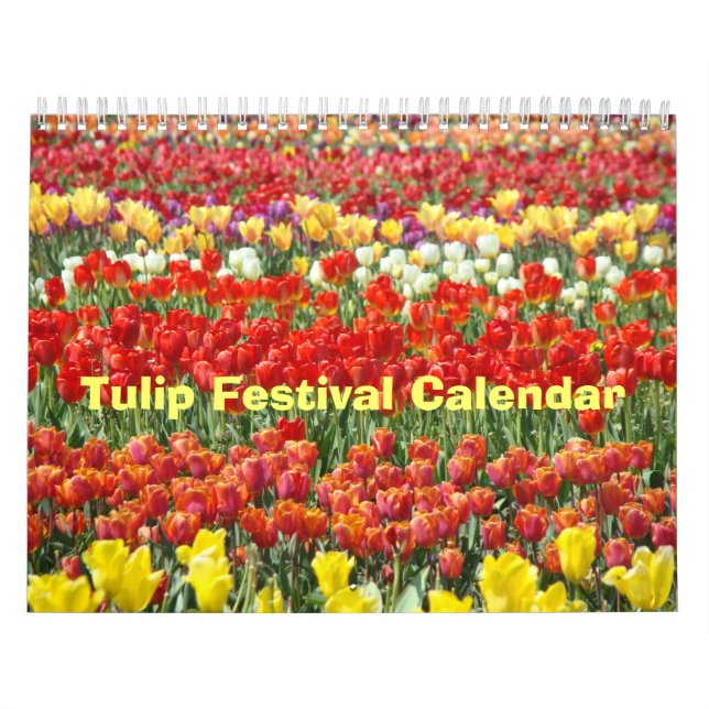 Festival del film Locarno Kalender (Titelbild)