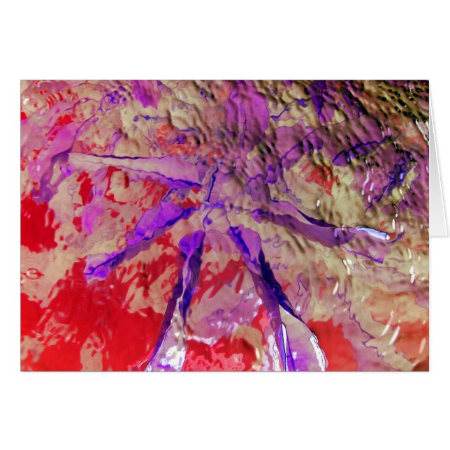 Festival Digital (Devant horizontal)