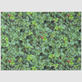 Festival Green Holly Berry Weihnachten Seidenpapier