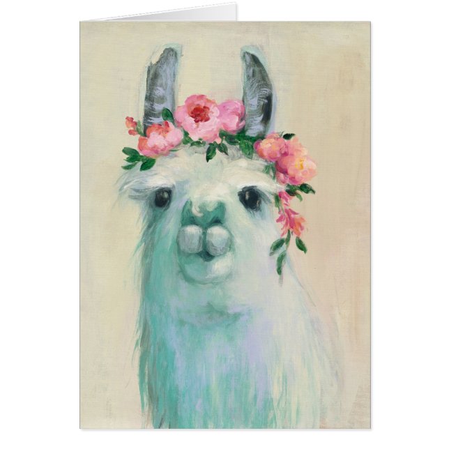 Festival Llama (Devant)