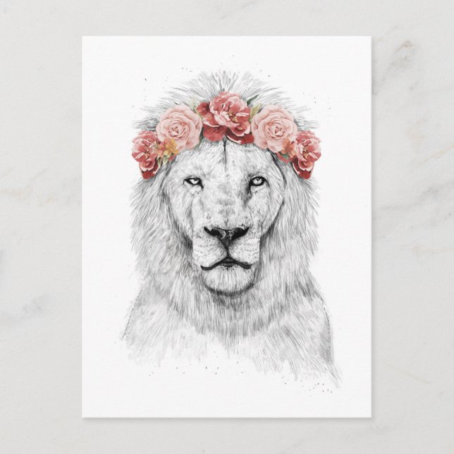 Festival Löwe Postkarte (Vorderseite)