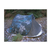 Festival Tent
