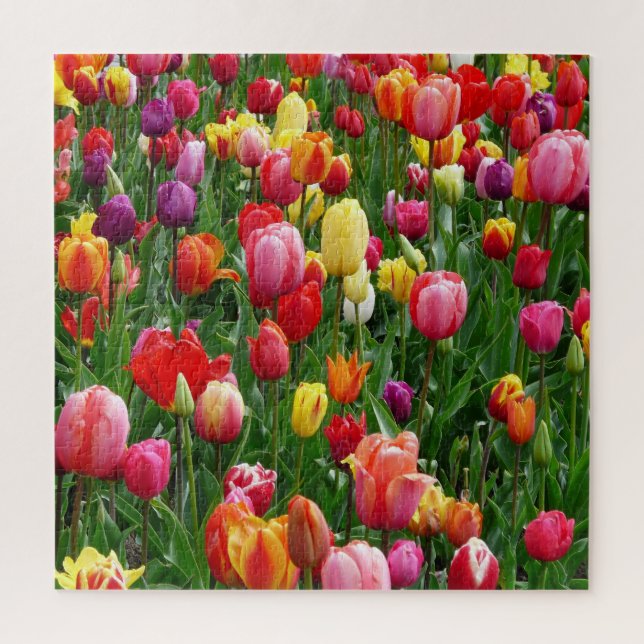 Festival Tulip Jigsaw Puzzle (Vertical)