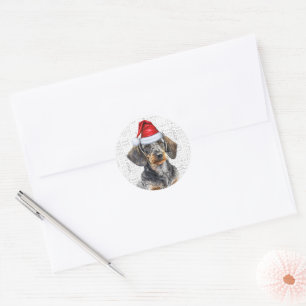 Festivals Drahthaarterrier Dackel Dog Woof Art Wei Runder Aufkleber