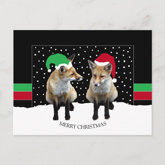 Festivals Fox Cubs Feiertag Postkarte (Vorderseite)